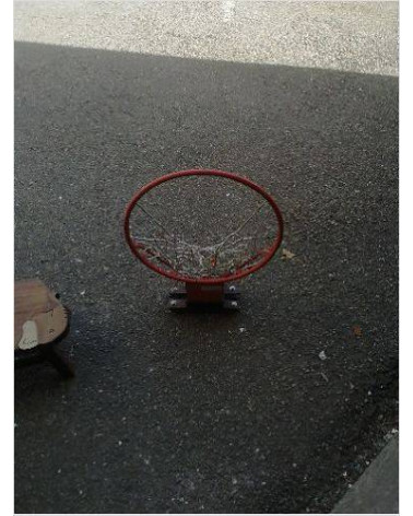 PANIER DE BASKET