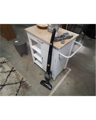 ASPIRATEUR BALAI ELECTROLUX ERGORAPIDO