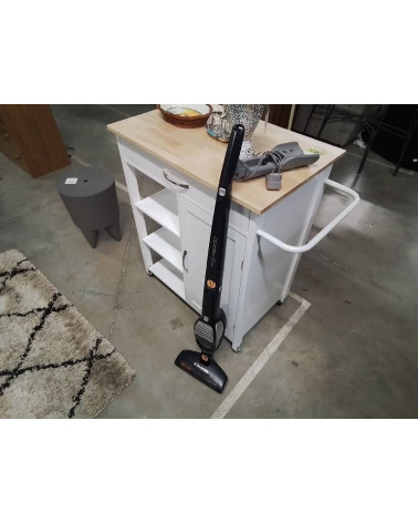 ASPIRATEUR BALAI ELECTROLUX ERGORAPIDO