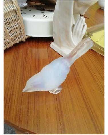 OISEAU VERRE OPALESCENT 