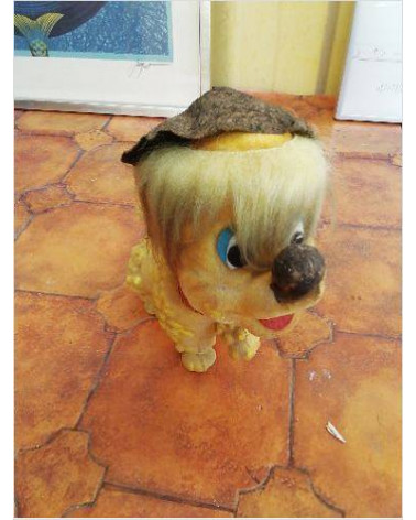 CHIEN 