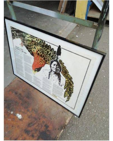 CADRE SOUS VERRE GREENPEACE 